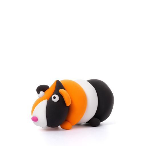 Guinea Pig