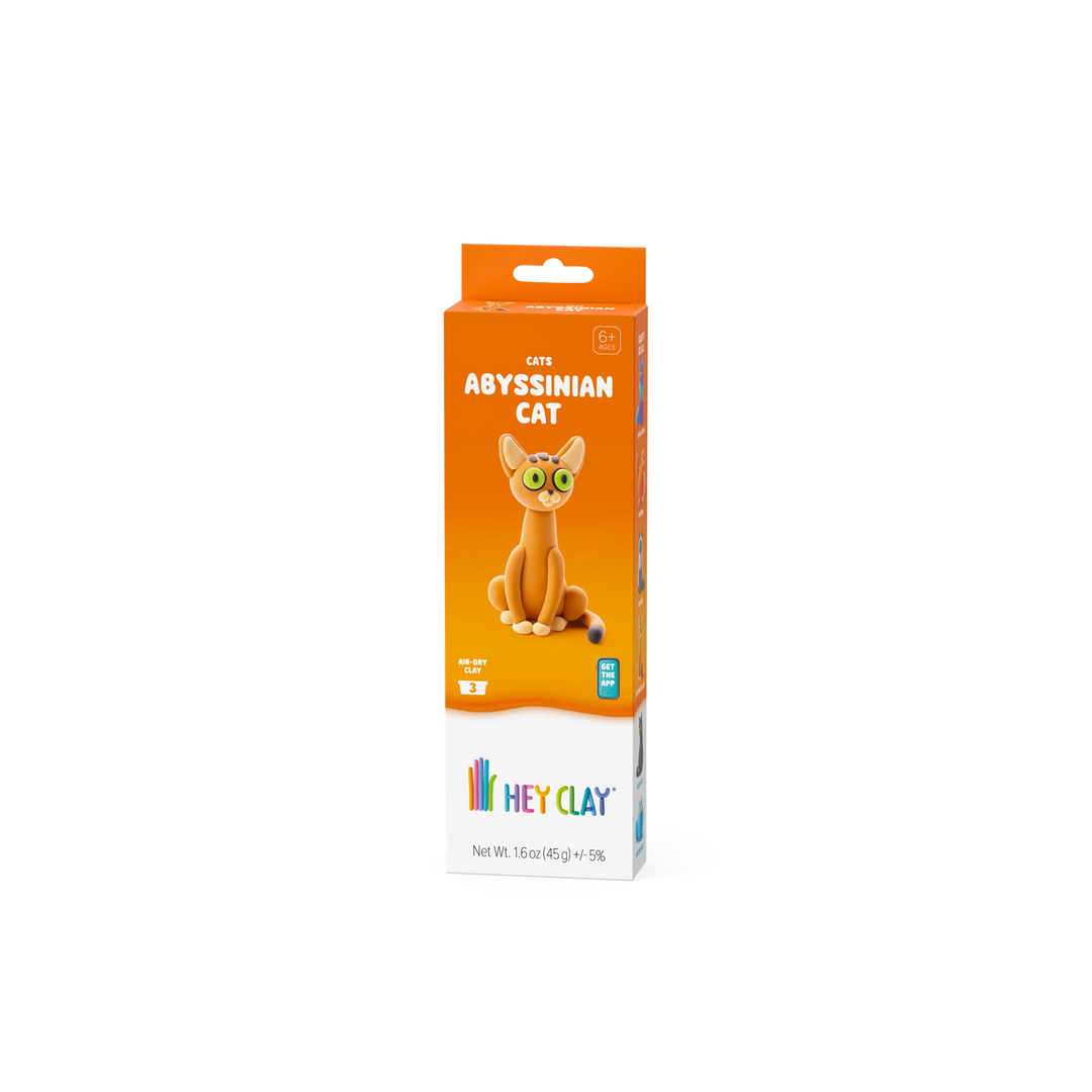 HEY CLAY Abyssinian cat air-dry clay kit, package front