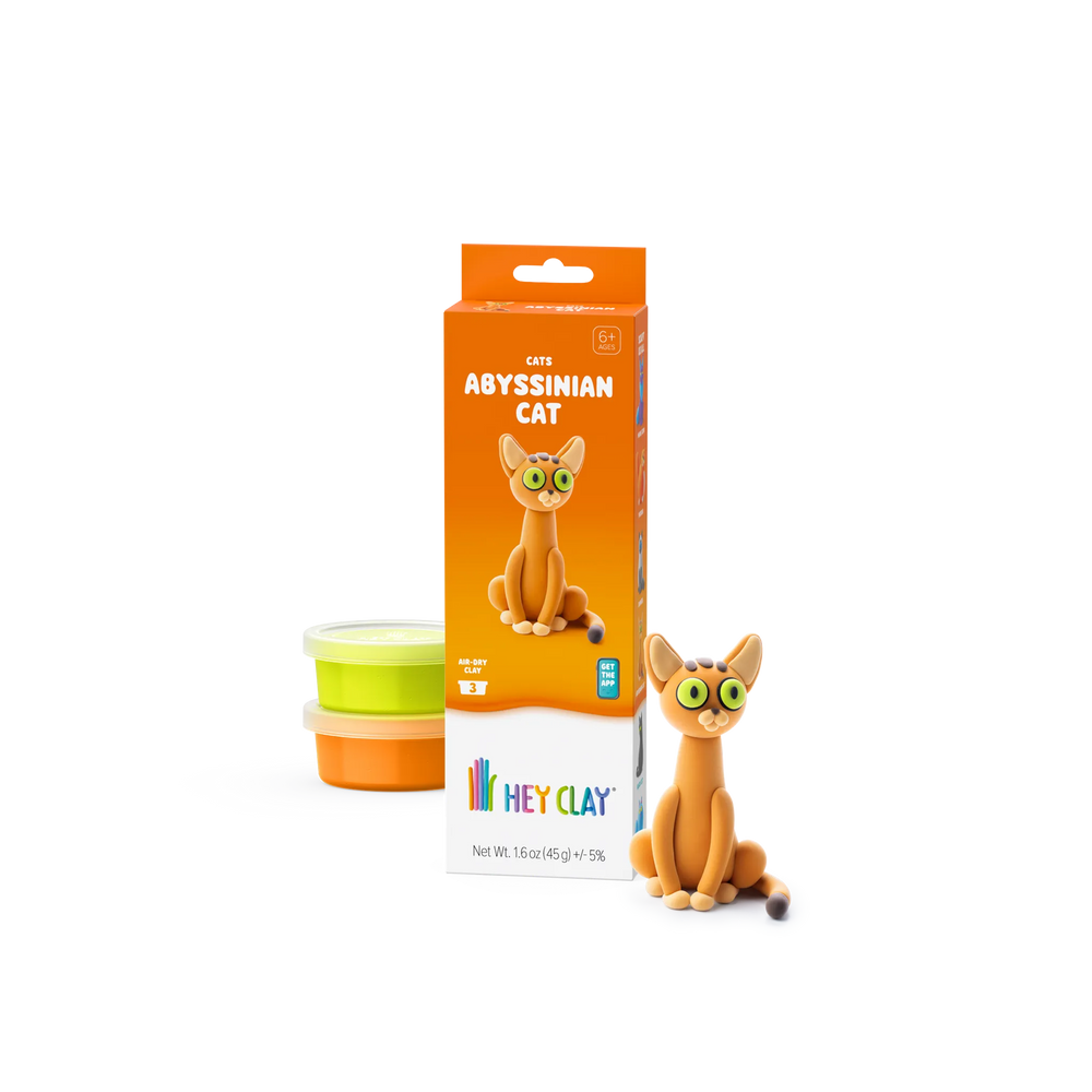 HEY CLAY Abyssinian cat package with 3 clay cans