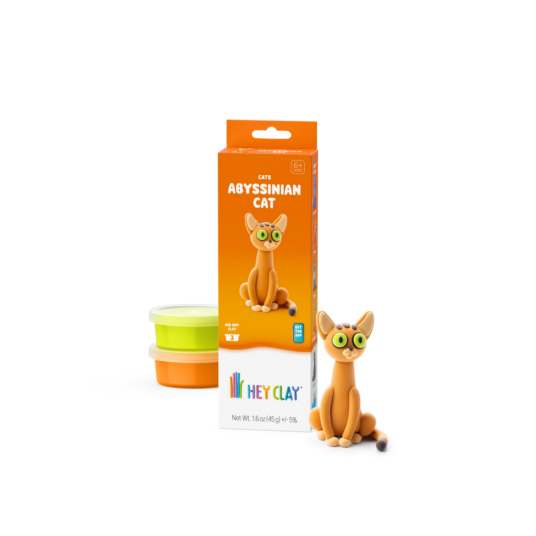 HEY CLAY Abyssinian cat package with 3 clay cans