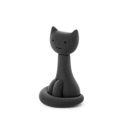 Black cat